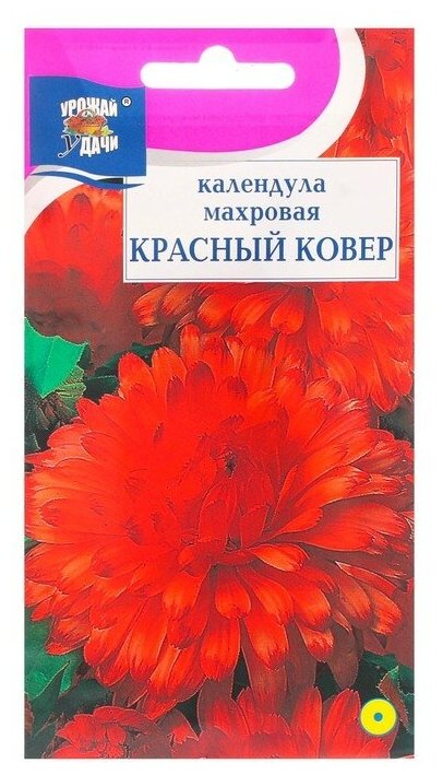 фото Семена цветов Календула махровая "Красный ковёр", 0,3 г