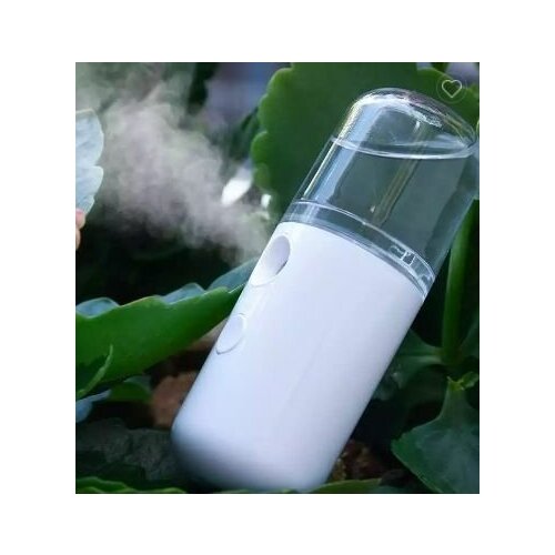 Увлажнитель для кожи Нано увлажнитель для лица с паром увлажнитель воздуха маленький - голубой 27300₽