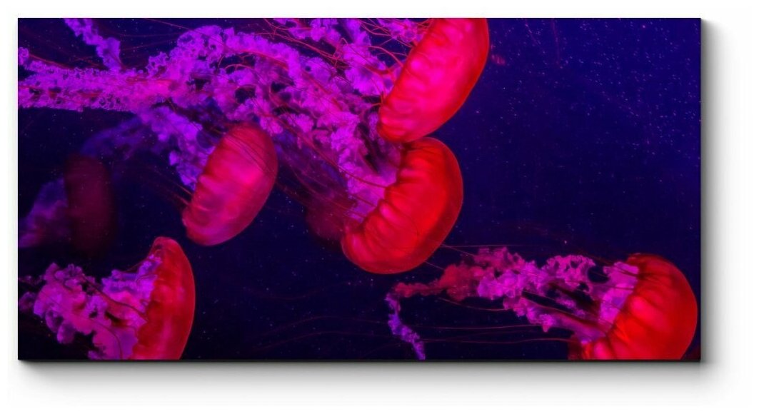 Модульная картина Стая медуз160x80