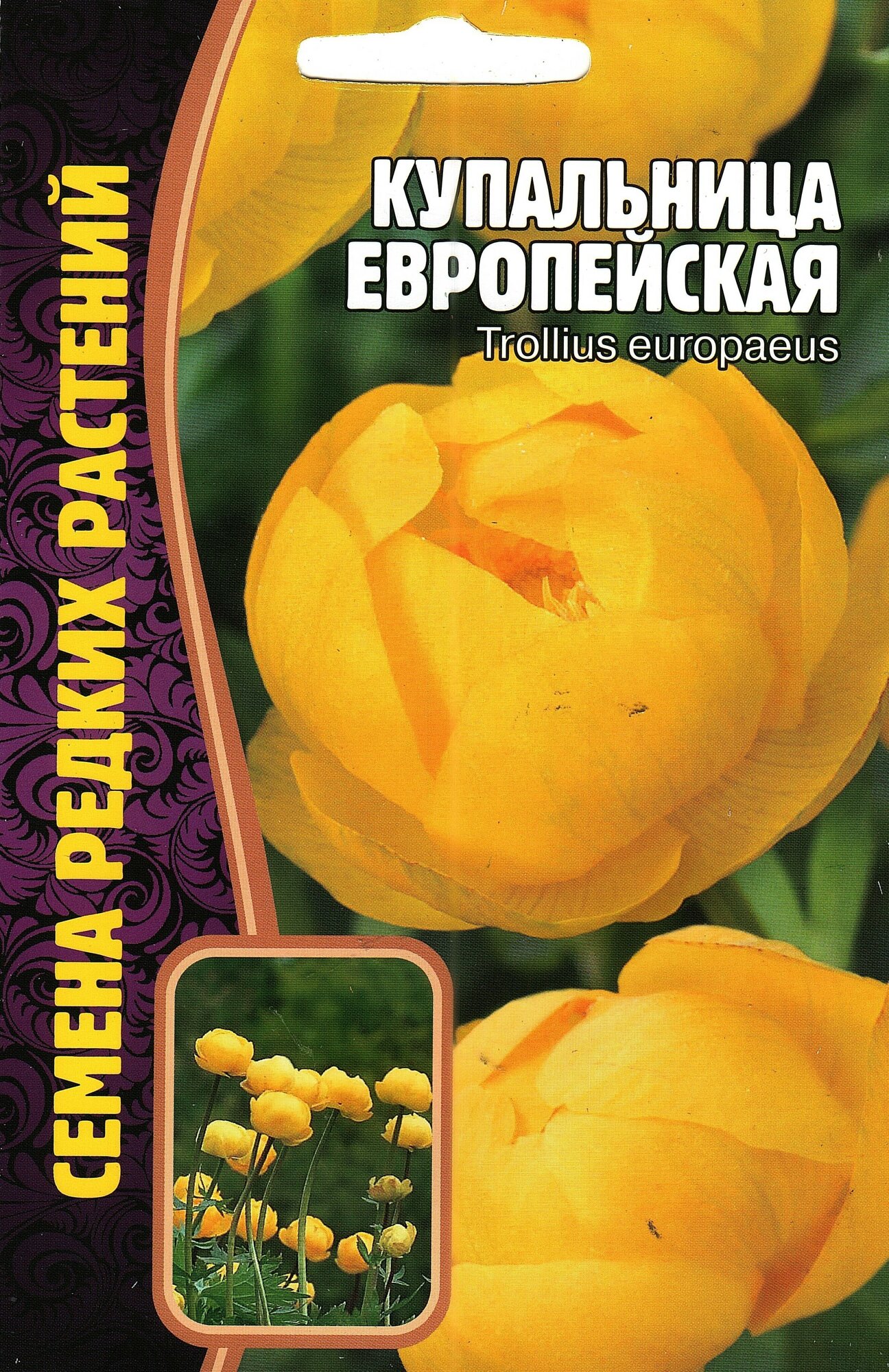 Купальница Европейская/ Trollius europaeus многолетник ( 1 уп: 20 семян )