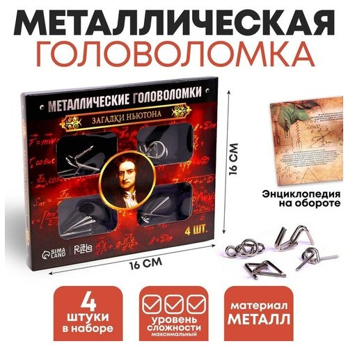 Puzzle Головоломка металлическая «Загадки Ньютона», набор 4 шт