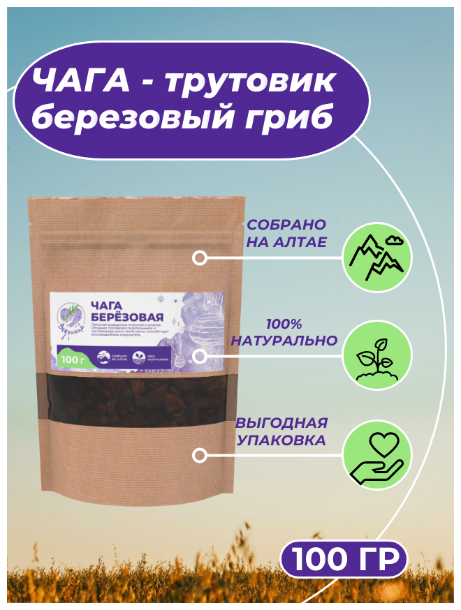 Чага травяной сбор фиточай натуральный сушеный Ведуница 100г