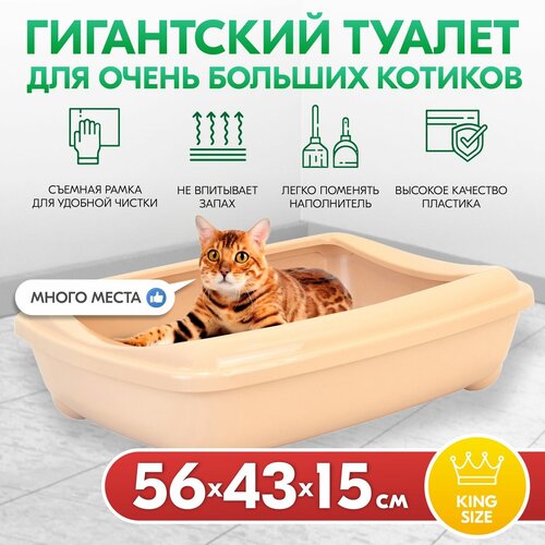 Туалет для кошек, лоток для кошек PetTails для Мейн-кунов глубокий, большой (под наполнитель) 56*43*15см, бежевый