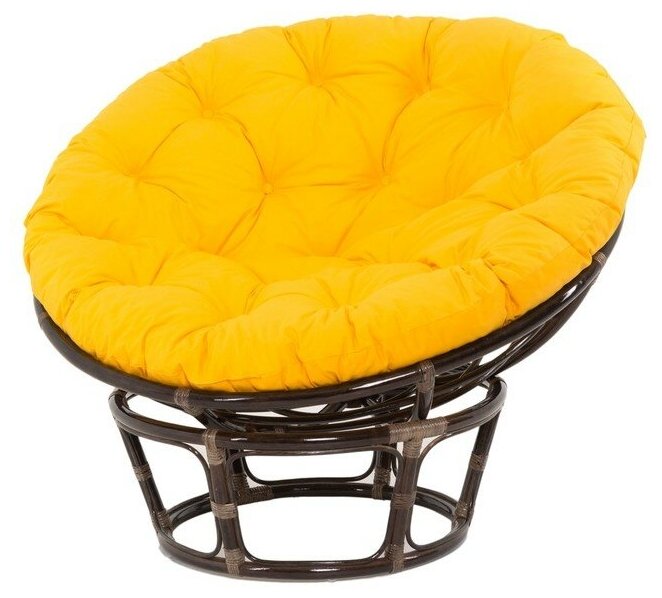  Papasan VINOTTI 23/01 :  ,  