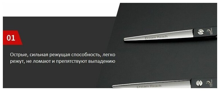 Набор Профессиональных ножниц для груминга (ножницы изогнутые 2-а вида , прямые, шанкерные, расческа-гребень металлическая) Размер 7.0 - фотография № 6