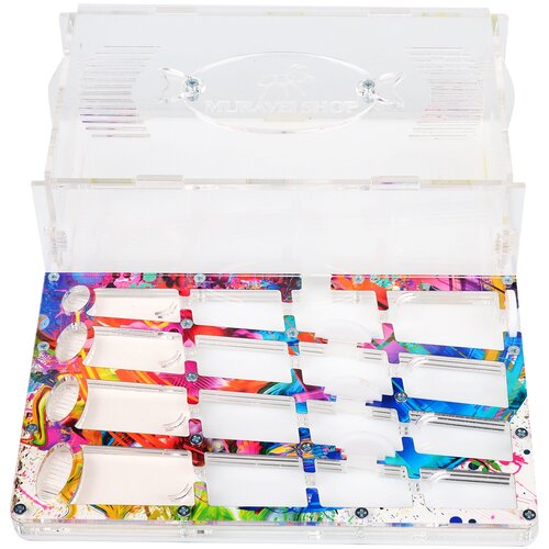 фото Муравьиная ферма ячейка- большая "колибри" muraveishop + набор для содержания и декор