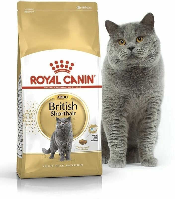 Сухой корм royal canin для кошек породы британская короткошерстная feline breed nutrition british shorthair 34 400г - фотография № 14