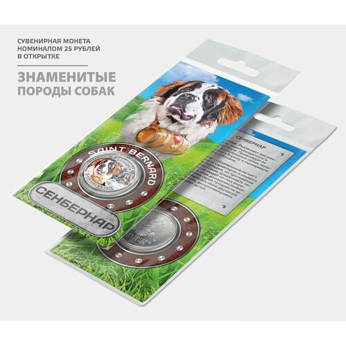 Монета 25 рублей Сенбернар серия Знаменитые породы собак