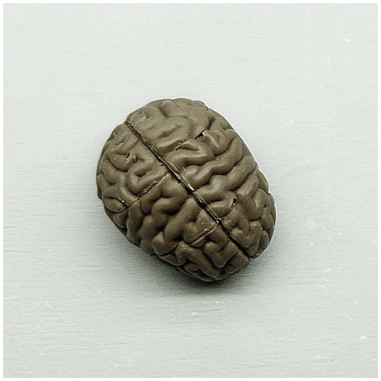 Подарочная шоколадная фигура Frade/Фраде - Мозг (вес-40г) (темный) - фотография № 1