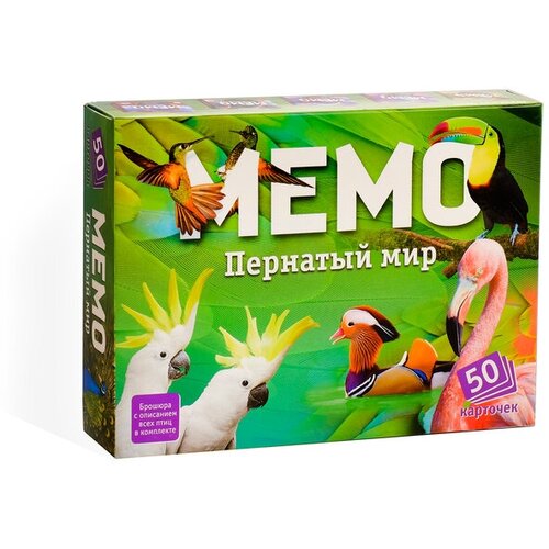 Настольная игра «Мемо. Пернатый мир», 50 карточек + познавательная брошюра настольная игра мемо пернатый мир 50 карточек познавательная брошюра 1 шт