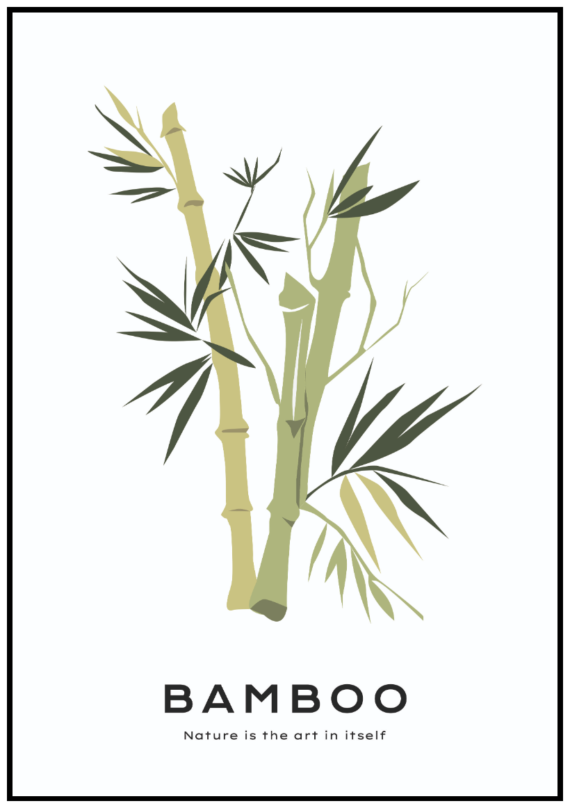 Постер "Бамбук рисунок" 50*70 без рамы / Картина / Постеры для интерьера / Плакат / Тубус