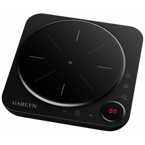 Плитка индукционная Garlyn H-1000 Black 490000₽
