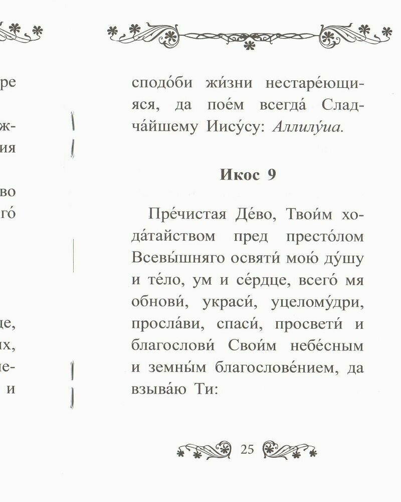 Акафист Пресвятой Богородице в честь иконы ее "Трех Радостей" - фото №3