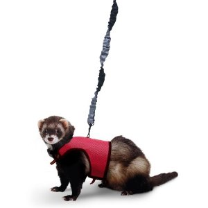 Шлейка с поводком-стрейч " Comfort Harness" Super Pet, коричневого цвета, размер S, для морских свинок, хорьков и грызунов среднего размера - фотография № 2