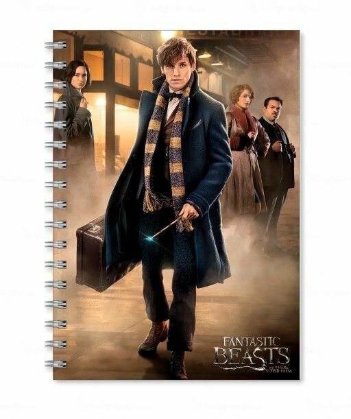Тетрадь Фантастические твари, Fantastic Beasts №10