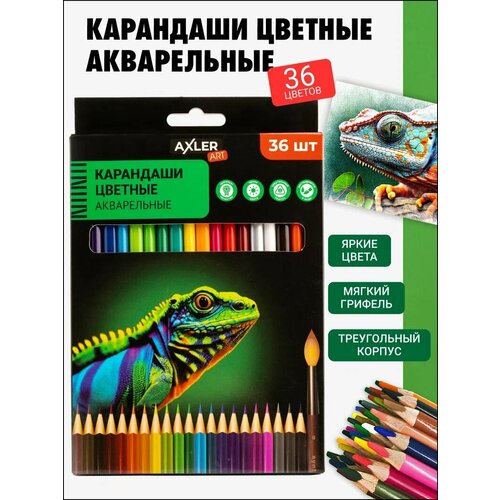 Карандаши цветные акварельные AXLER Art для рисования, художественные мягкие, набор 36 цветов для начинающих художников детей и взрослых, трехгранные