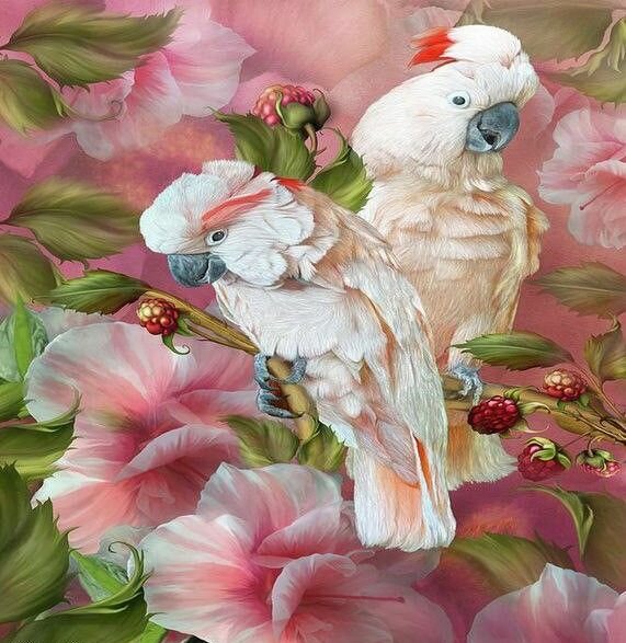 Алмазная мозаика на подрамнике Вышивка Живопись Картина стразами "Два попугая" 40х50 см