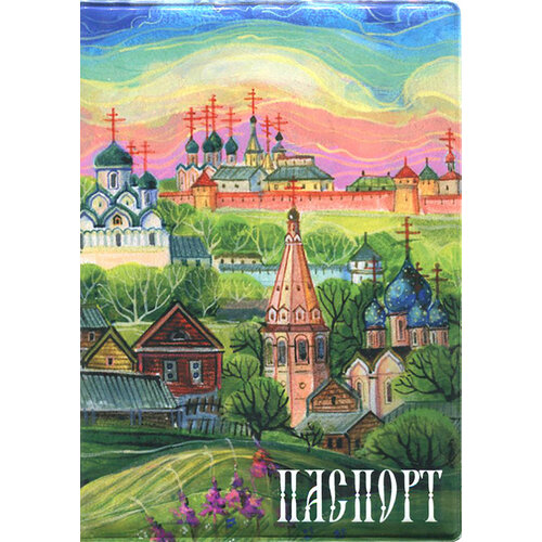 Обложка для паспорта СИМВОЛИК, мультиколор