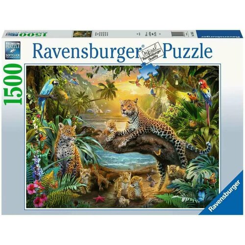 Пазл для взрослых Ravensburger 1500 деталей: Саванна оживает пазл ravensburger 1500 деталей москва