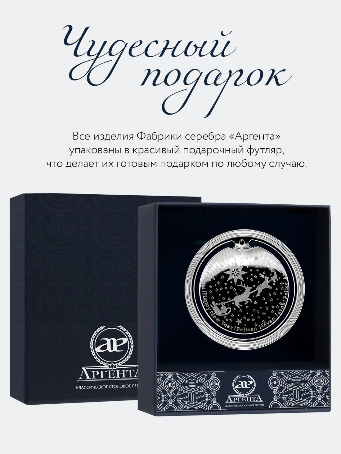 Закладка для книг серебрянная с логотипом "Новый год" в футляре — фото 1