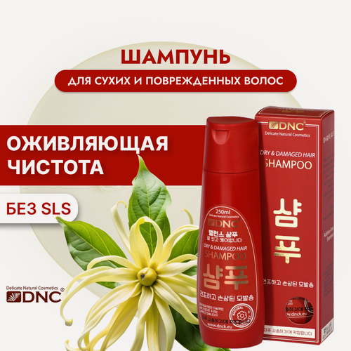 Изображение товара Шампунь для сухих и поврежденных волос (Корея), без SLS, 250 мл, DNC