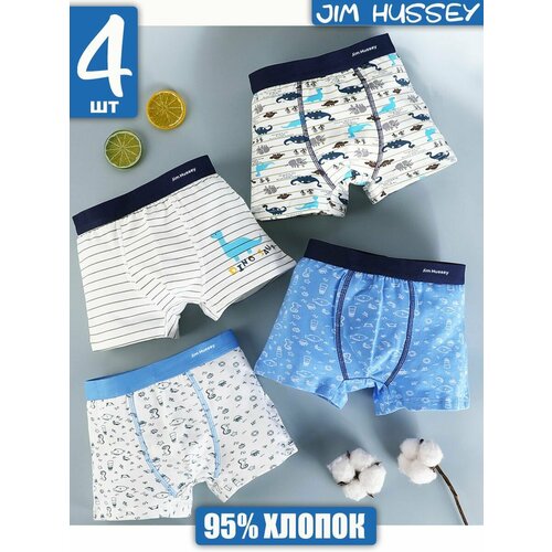 фото Комплект нижнего белья jim hussey, размер 2xl, голубой