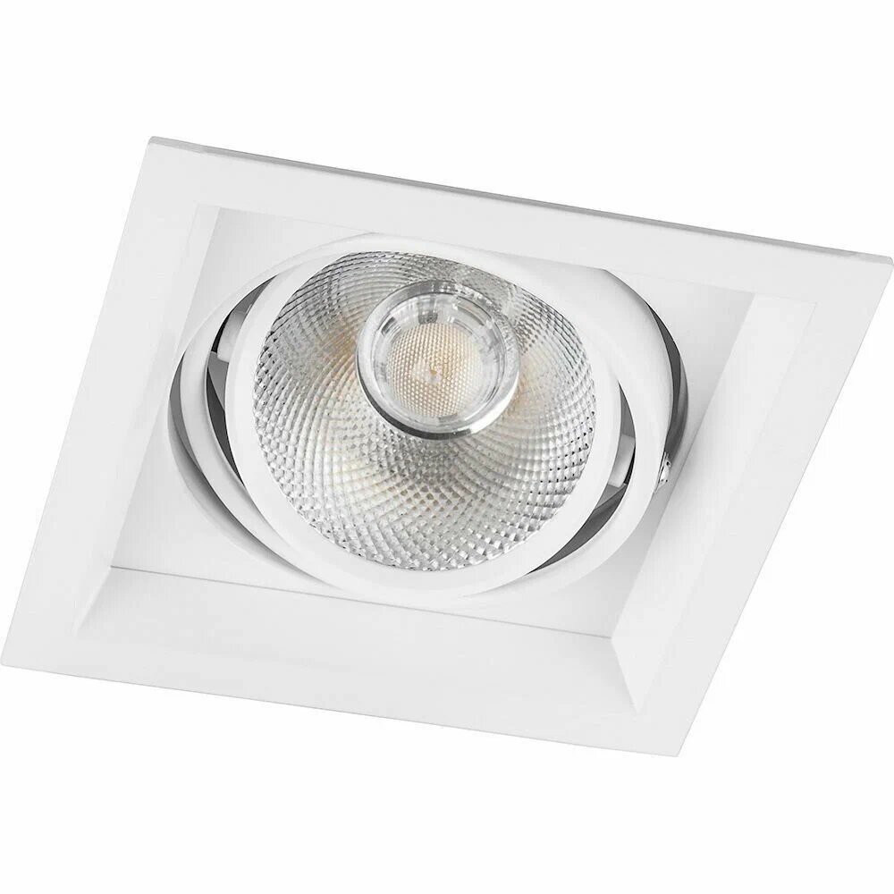 Светильник карданный светодиодный с драйвером и клеммой, 1x12W 1080 Lm, 4000К, 35 градусов, белый, FERON AL201 29773