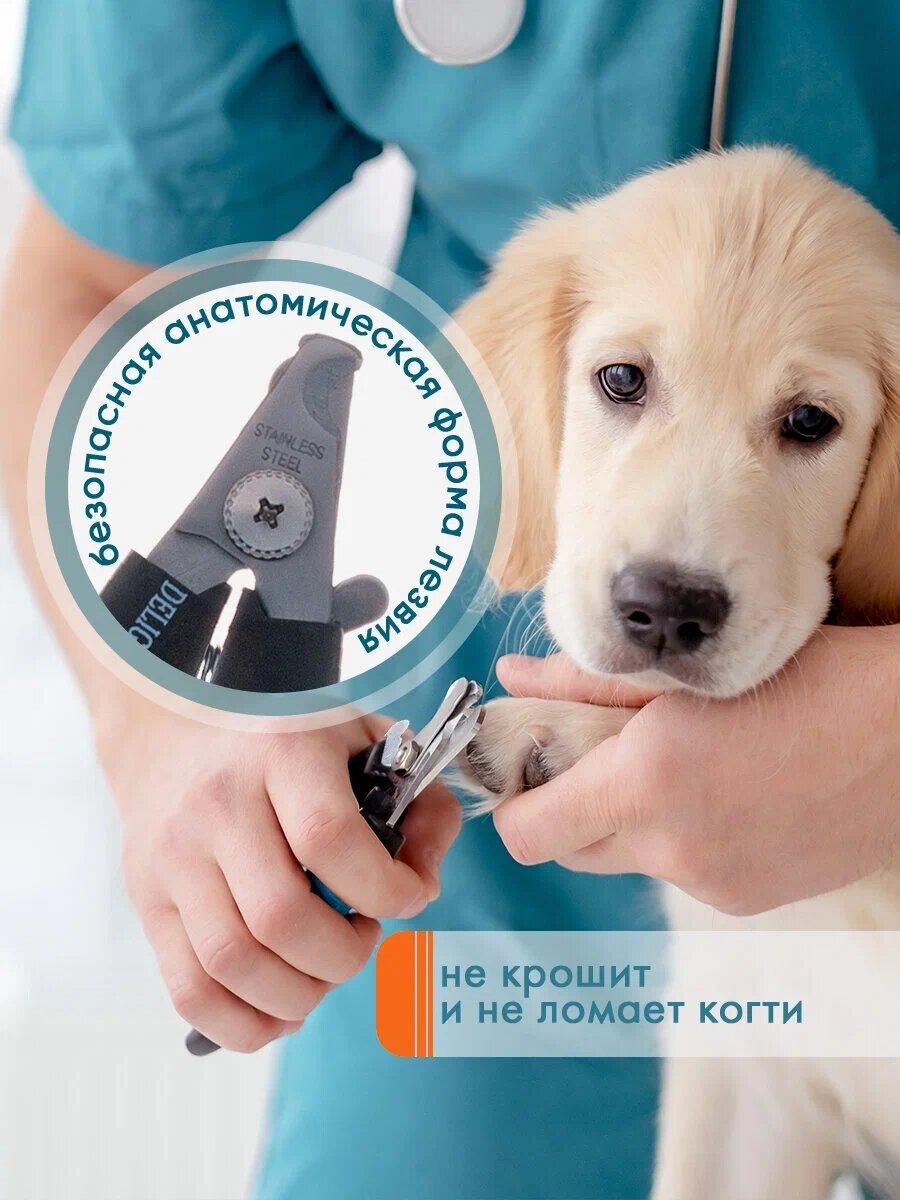 Когтерез-секатор (кусачки) для маленьких и миниатюрных собак DeLIGHT 40112S маленький (S), со стопором и ограничителем — фото 1
