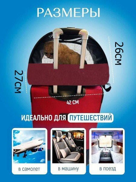 Сумка переноска для кошек и собак М с жестким каркасом XL ZOLO до 12 кг №3 42x27x26 см для самолета авиаперевозок — фото 1