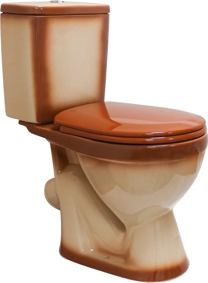 Унитаз-компакт напольный Rosa Лира 4620008192086 с косым выпуском