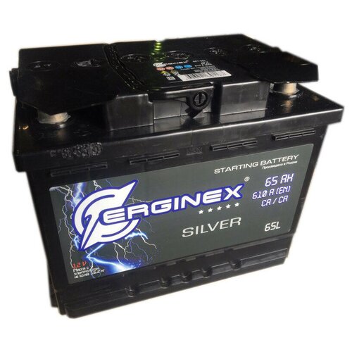 Аккумулятор ERGINEX 6СТ-65 п/п
