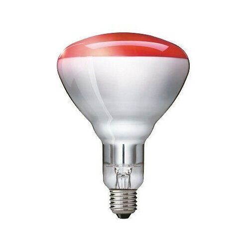 фото Лампа инфракрасная philips ir250rh