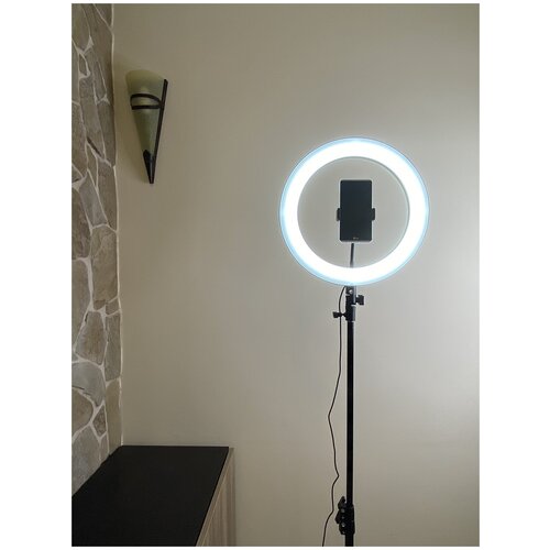 Кольцевая светодиодная лампа Nano City 36 см с большим напольным штативом 210 см держателем для телефона и селфи-пультом 335000₽