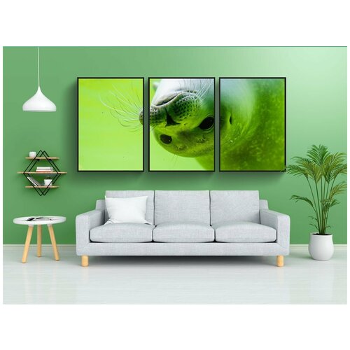 фото Набор модулных постеров для интерьера "уплотнения, тюлень, северное море" 60x90 см. в тубусе, без рамки lotsprints