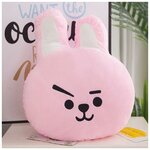 Подушка Куки (BT21 Cooky) - изображение