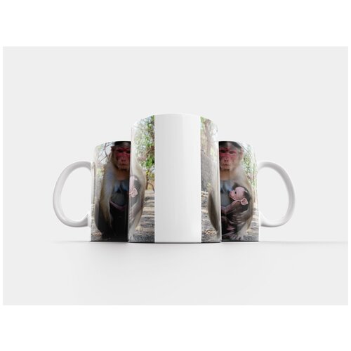 фото Кружка "макака резус, макака, обезьяна" 320 мл lotsprints