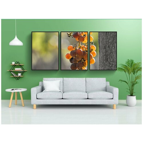 фото Набор модулных постеров для интерьера "виноград, лоза, вино" 60x90 см. в тубусе, без рамки lotsprints