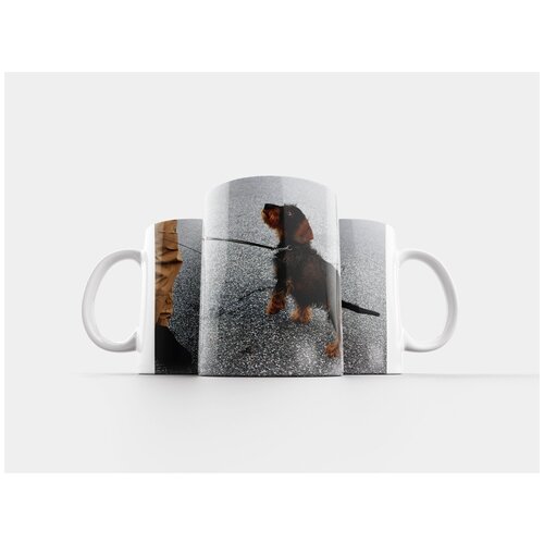 фото Кружка "такса, послушный, дрессировка собак" 320 мл lotsprints