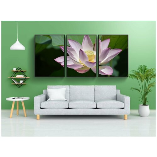 фото Набор модулных постеров для интерьера "лотос, цветок, завод" 60x90 см. в тубусе, без рамки lotsprints