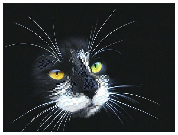 Черный кот Рисунок на шелке 28/34 28х34 (18х24) Матренин Посад 4102 28х34 (18х24) Матренин Посад 4102