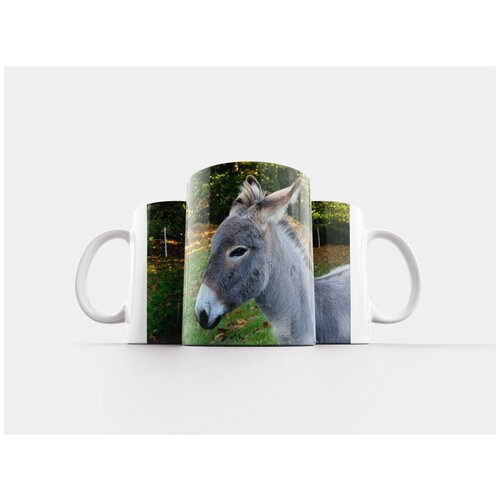 фото Кружка "декоративный подсолнух, цветок, цветение" 320 мл lotsprints