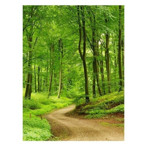 Фотообои Fotooboikin Тропинка 200х270 см ШхВ 4034₽