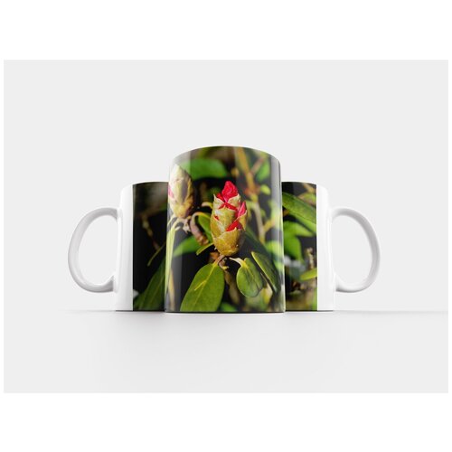 фото Кружка "рододендрон, кустарник, цвести" 320 мл lotsprints