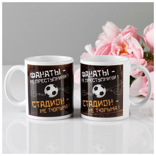 фото Кружка "фанаты не преступники", 330 мл, c нанесением дарим красиво