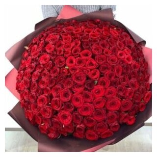 Букет из 201 красной розы 60 см