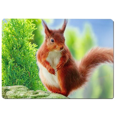 фото Коврик для мыши рыжая белка drabs