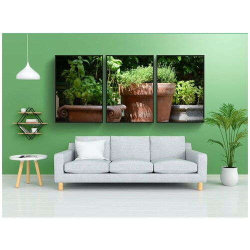 фото Набор модулных постеров для интерьера "бэзил, тимьян, терракота" 60x90 см. в тубусе, без рамки lotsprints