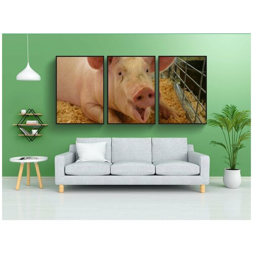 фото Набор модулных постеров для интерьера "свинья, полный выросли, ферма" 60x90 см. в тубусе, без рамки lotsprints