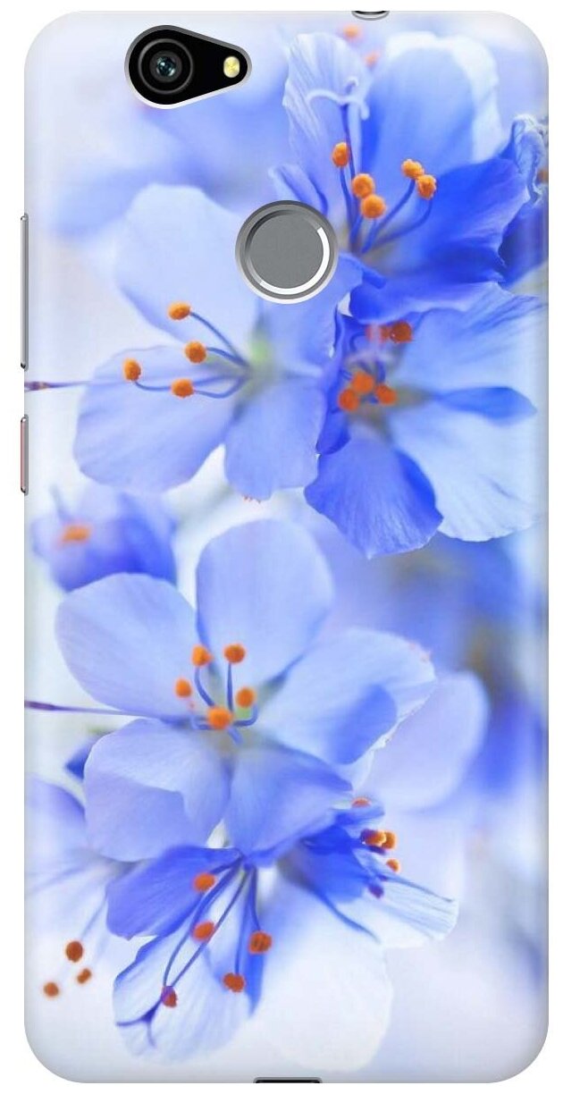 Силиконовый чехол на Huawei Nova / Хуавей Нова с принтом "Лазурные орхидеи"