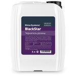 Полироль для шин Shine Systems BlackStar чернитель резины - изображение